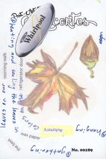Drawn maple leaf and acorn with surrounding collage and words about the favorite parts of fall